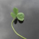 학석보건진료소 이미지