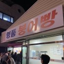 명품간식 | 강릉 포남동 겨울 간식 명품 붕어빵 맛 후기