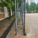 서강초교 이미지