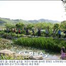 창포배수장 노컷뉴스