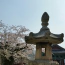 김재 Daum카페