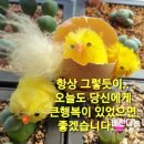 죽녹원5분거리 민박 이미지