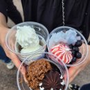 한국동물번식센타 | 에버랜드 -위키드, 데몬 헌터스 리뷰