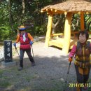 회관농장 이미지