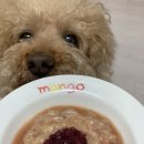 올데이올가닉 | 아더마스 진버클럽 + 발효채소 구매후기