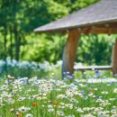 (주)수레 이미지