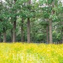 오동슈퍼 이미지