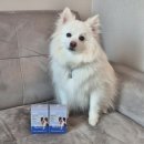 J.S 카케어 | 폼피츠 닥터독 베츠초이스 뉴트리션 J+ 관절영양제 후기