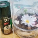 전북치과기공소 | 전주/전주맛집/다이닝스푼/세모/노매딕비어가든/전주카페/4월일상