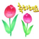 보람건강원 - 서구 제비네1길 115 | 보람건강원