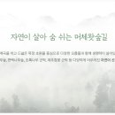 숲에오름협동조합 이미지