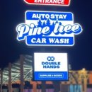 파인트리 스테이 이미지