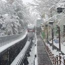 20만 명이 선택한 편리한 이동수단 중구 동화동 모노레일 개통 1주년 맞아 이미지