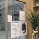 파주탄현경기-파주-탄현3 | 일산 데이트 코스 탄현동 고양이 카페 캣플헤븐 일산탄현점