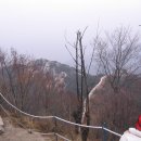 [2월 14일(토) 제11구간]안산~인왕산~북악산~북악터널~북악매표소 거북이 산행-4 이미지