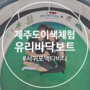 우도닻 | [제주/서귀포] 제주도이색체험 안전하고 짜릿한 “유리바닥보트”