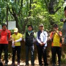 우면산7-2-2 이미지