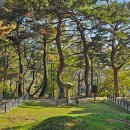 경주시서면도리보건진료소 네이버블로그