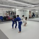 Dream of Judo 태평유도관 이미지