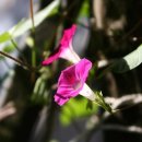 선비촌종가집 이미지