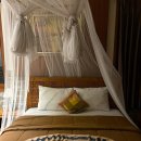 몽키세탁소 이미지