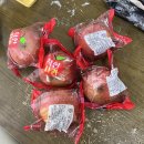 스펀지게임랜드 이미지