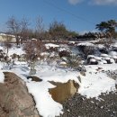 담양여자 화순남자 이미지