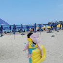 서쪽아이 이미지