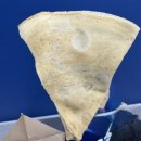 텍사스파파크레페 - 하남시 하남대로 947 | 진주 가좌동 크레페 맛집 텍사스파파 크레페 후기