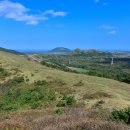 성읍리-9 이미지