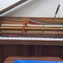 가온피아노음악학원 이미지