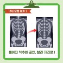 365늘푸른한의원 이미지