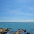 824 | 부산 기장 오션뷰, 망고 빙수 맛집 카페824 방문 후기