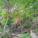 로그캐빈애견동반독채복층펜션 | 강원도횡성 가족여행 로그캐빈애견동반펜션 독채/복층 솔직후기