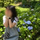 홍겸농장 | 태안 당일치기 청산수목원 서산 창리항에서 물멍 드라이브