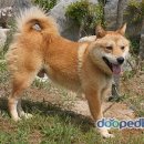 일문상사 네이버블로그