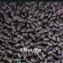 지상길농장 이미지