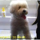 더 빛나개 이미지