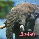 떼굴떼굴 이미지