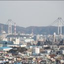 솔잎향기 이미지