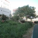 동막천자전거길 이미지