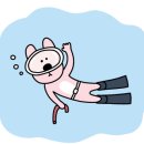 고성해양레포츠아카데미 수영장 이미지