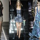 포켓애니멀 이미지