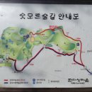 한라생태숲 숫모르 숲길 이미지