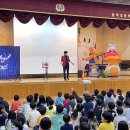 부산초등학교 | 35만유튜버가 진행하는 부산 초등학교 마술공연 샌드아트공연 섭외