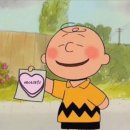 라보떼래쉬 이미지