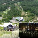 산동3호 이미지