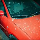 YL 컴퍼니 이미지