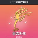 도화 - 종로구 | 도화