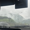 죽도명태대구 | 고성,속초여행 | 녹원생선찜,청초수물회,느좋카페 후기